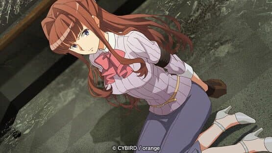 Inuwashi: Urabure Tantei to Ojou-sama Keiji no Ikebukuro Jiken File — screenshot 5