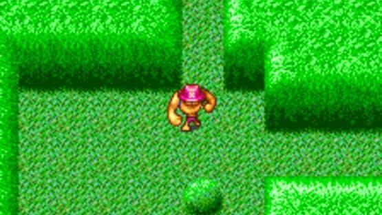 One Piece: Chopper no Daibouken — screenshot 1