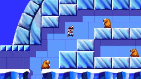 Super Mario's Wacky Worlds — screenshot 6