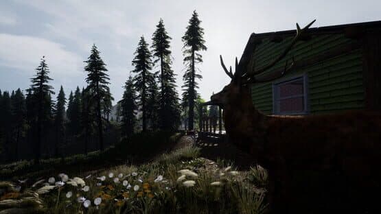 Reborn: Survival — screenshot 6