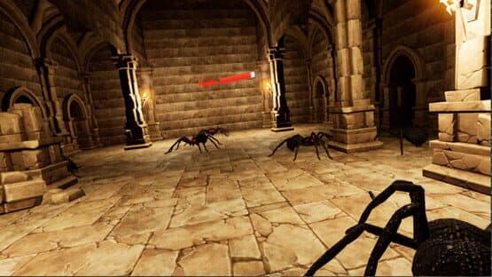 Spider Fear — screenshot 6