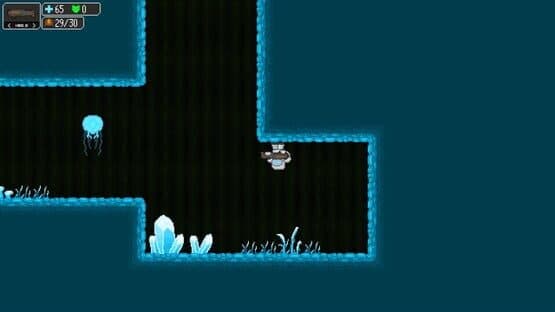 Vosaria: Lair of the Forgotten — screenshot 5