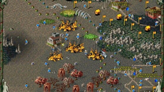 The Settlers II: Mission CD — screenshot 3