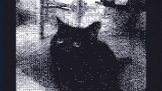 Game Boy Camera — screenshot 1