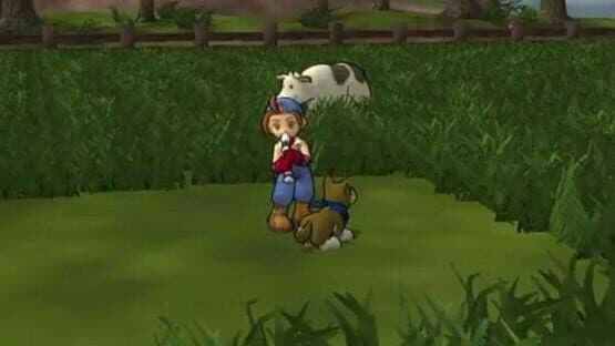 Harvest Moon: Save the Homeland — screenshot 1