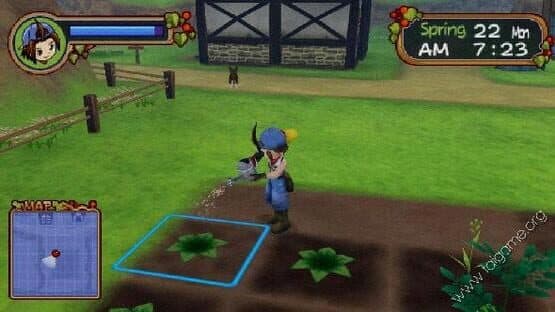 Harvest Moon: Save the Homeland — screenshot 6