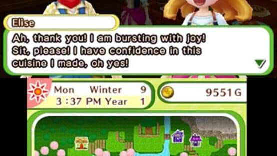 Harvest Moon: Skytree Village — screenshot 5
