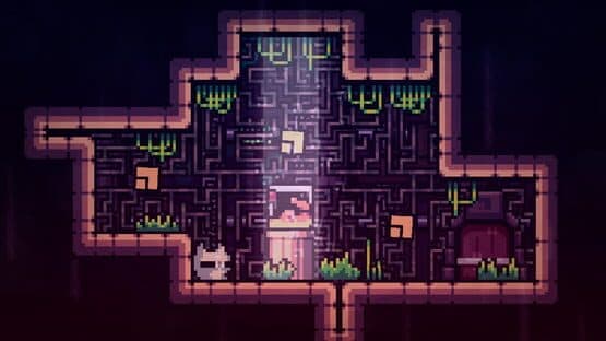 Reed 2 — screenshot 1
