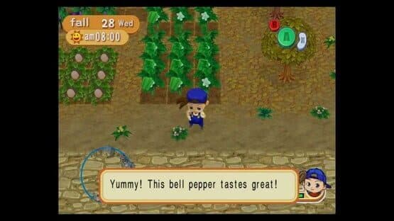 Harvest Moon: Magical Melody — screenshot 2