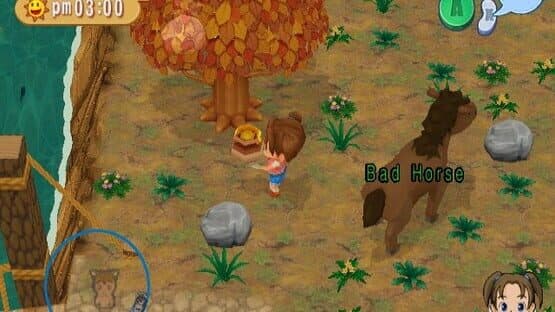 Harvest Moon: Magical Melody — screenshot 4