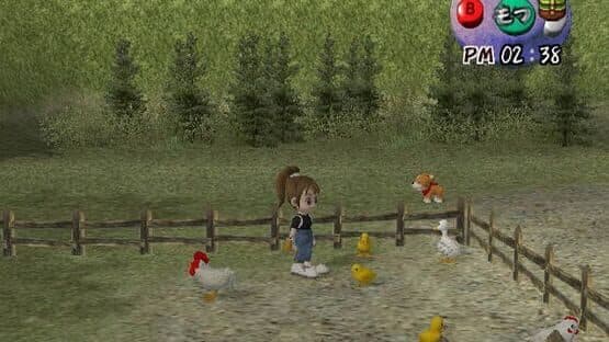 Harvest Moon: Another Wonderful Life — screenshot 1