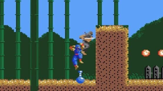 Ninja Gaiden — screenshot 1