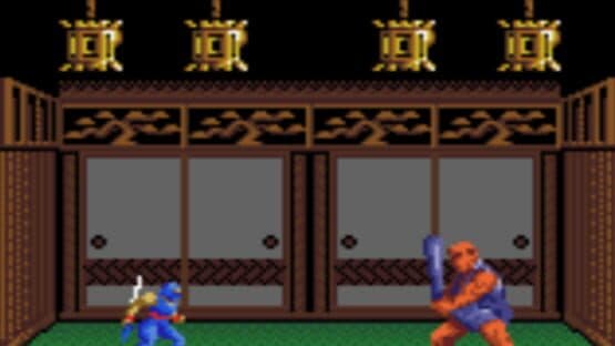 Ninja Gaiden — screenshot 4