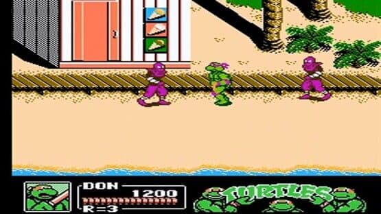 Teenage Mutant Ninja Turtles III: The Manhattan Project — screenshot 1