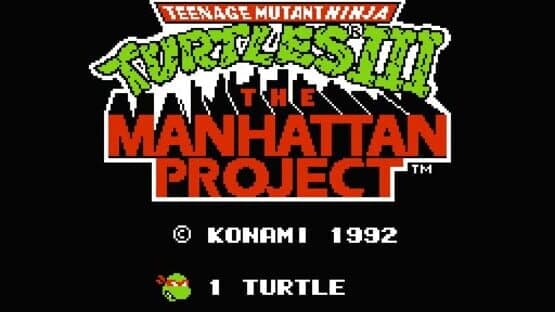 Teenage Mutant Ninja Turtles III: The Manhattan Project — screenshot 4