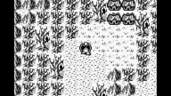 Gargoyle's Quest — screenshot 3