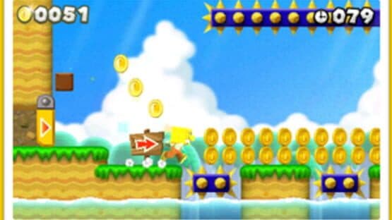 New Super Mario Bros. 2: Coin Challenge Pack C — screenshot 1