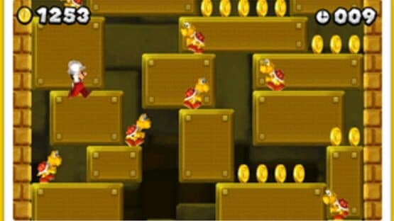 New Super Mario Bros. 2: Coin Challenge Pack C — screenshot 2