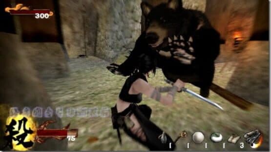 Tenchu 3 Portable — screenshot 1