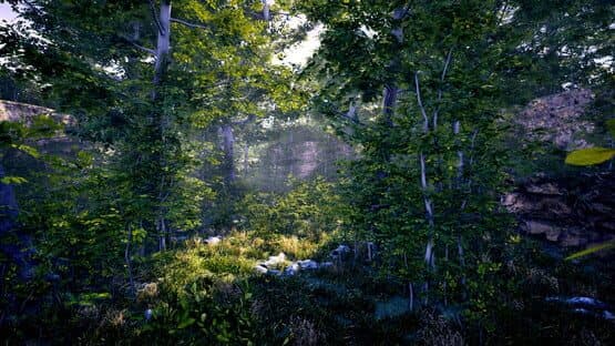 The Fabled Woods — screenshot 1