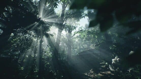 Wakamarina Valley, New Zealand — screenshot 1