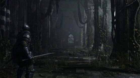 Demon's Souls — screenshot 4