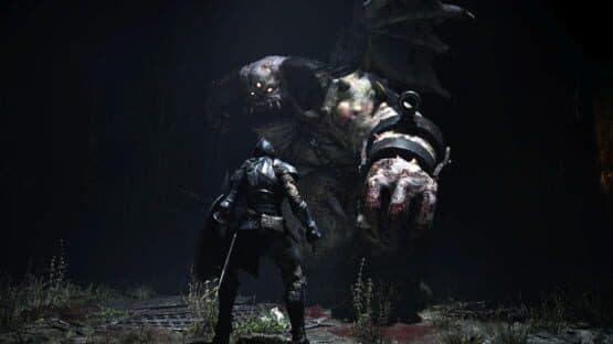 Demon's Souls — screenshot 5