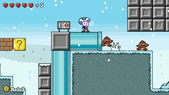 Regular Toad Game — screenshot 2