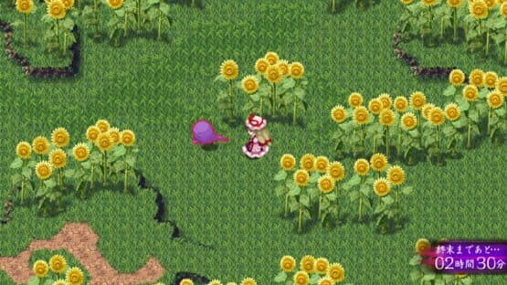 Touhou Genso Maroku W: The Devil of Decline — screenshot 6