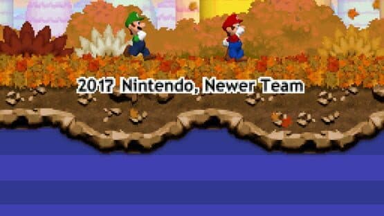 Newer Super Mario Bros. DS — screenshot 3