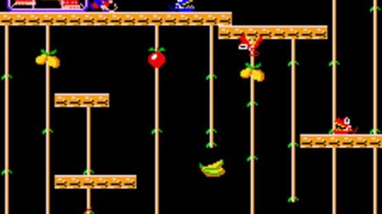 Donkey Kong Junior — screenshot 2