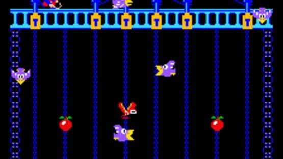 Donkey Kong Junior — screenshot 3