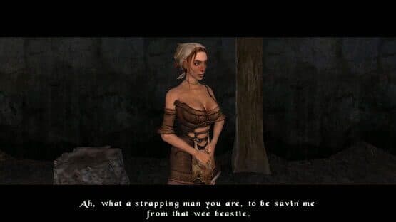 The Bard's Tale: Remastered and Resnarkled — screenshot 2
