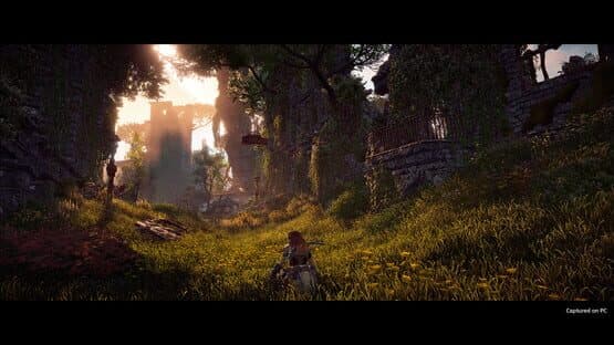 Horizon Zero Dawn: Complete Edition — screenshot 5