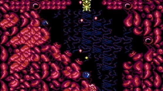 Abadox: The Deadly Inner War — screenshot 5