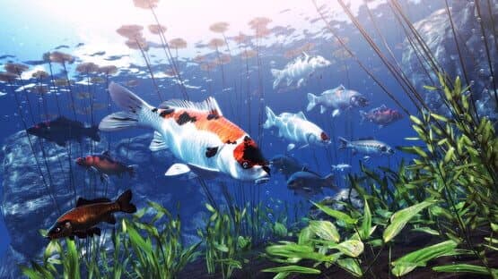 My Koi — screenshot 1