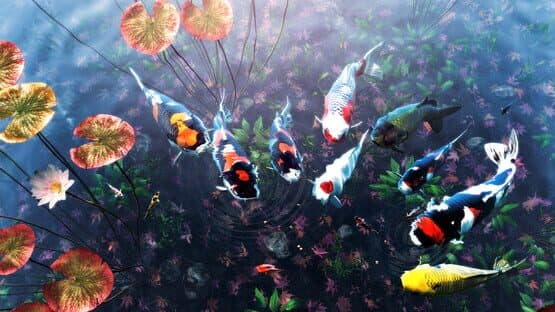 My Koi — screenshot 4