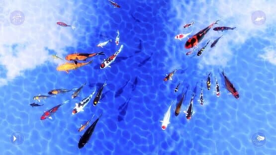 My Koi — screenshot 6