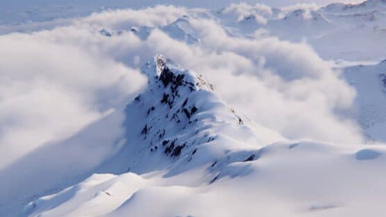 Shredders — screenshot 1