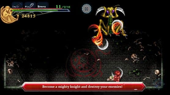 Ys Chronicles 1 — screenshot 2