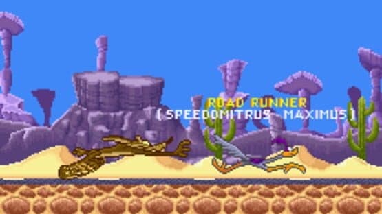 Road Runner's Death Valley Rally — screenshot 3