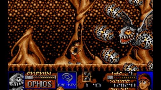 Risky Woods — screenshot 2