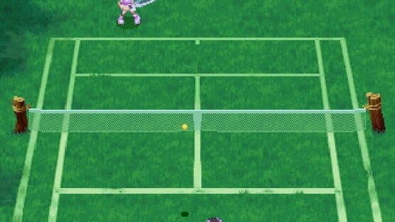 Netto de Tennis — screenshot 4