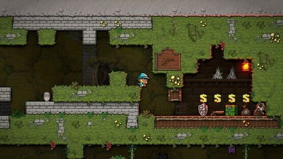 Spelunky 2 — screenshot 2