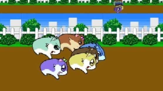 Hamster Monogatari 64 — screenshot 1