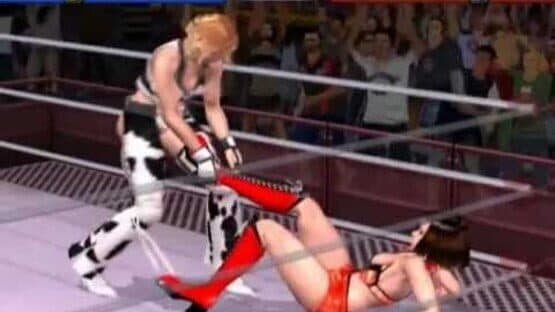 Rumble Roses — screenshot 2