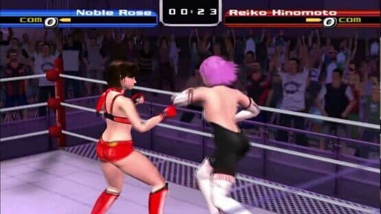 Rumble Roses — screenshot 5