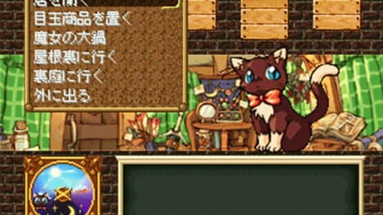Sarara's Little Shop — screenshot 3