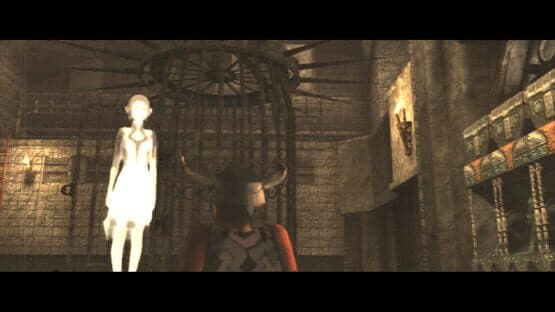The Ico & Shadow of the Colossus Collection — screenshot 2