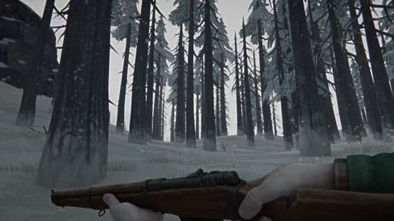 The Long Dark — screenshot 6
